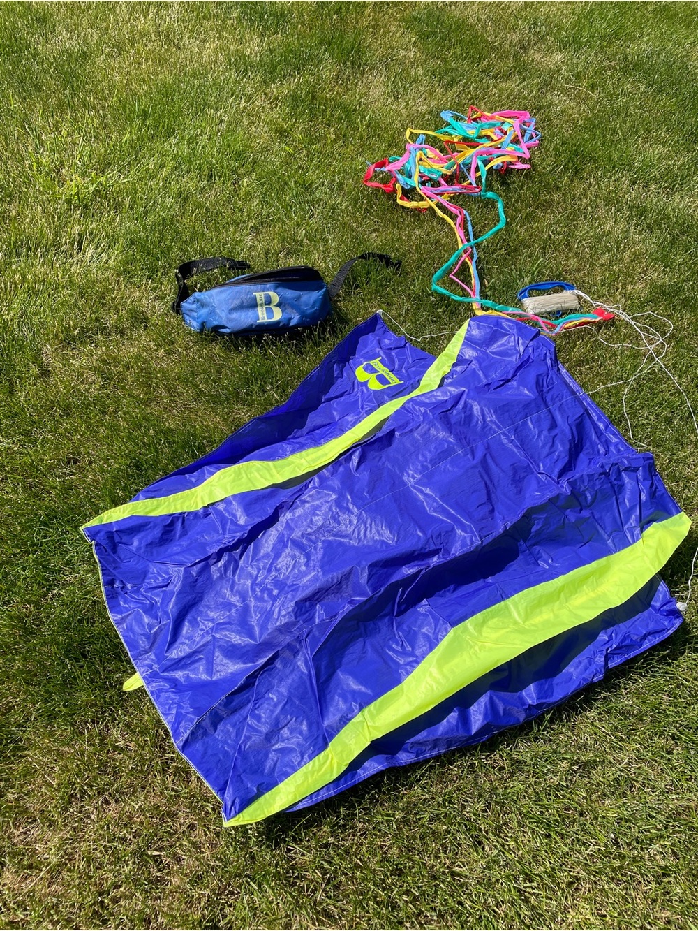 Kite by Brookstone, Complete With String and Tail